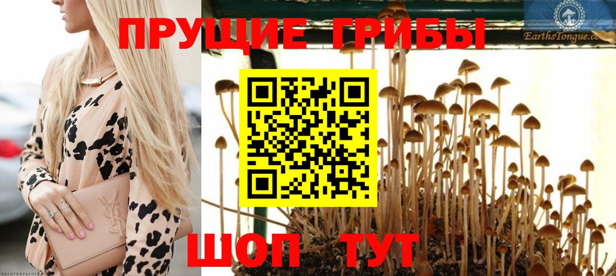 Псилоцибиновые грибы MAGIC MUSHROOMS  Галлюциногенные грибы Psilocybine cubensis  Алушта  Вход с VPN 