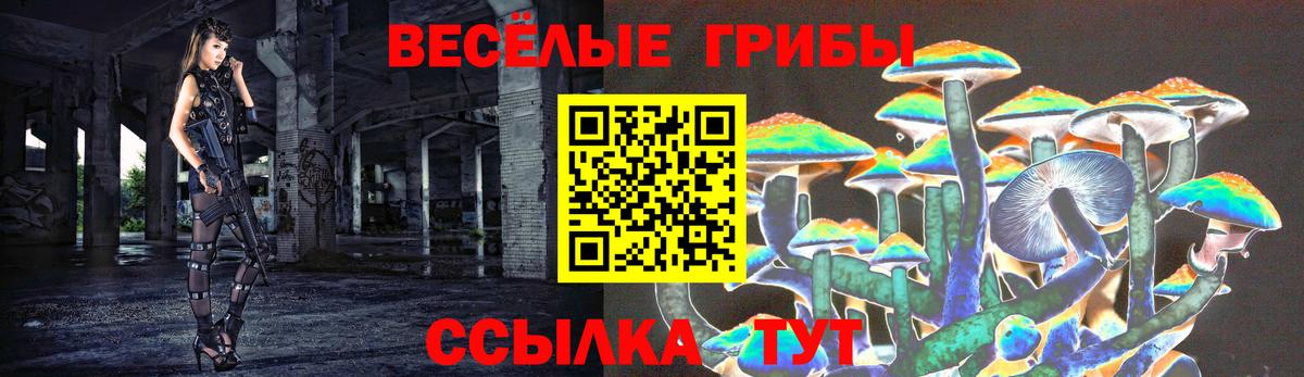 Псилоцибиновые грибы Cubensis Алушта